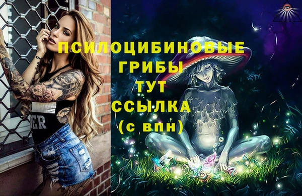 амфетамин Белокуриха