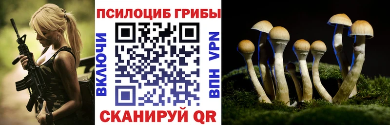 Псилоцибиновые грибы прущие грибы  где можно купить   Краснокаменск 